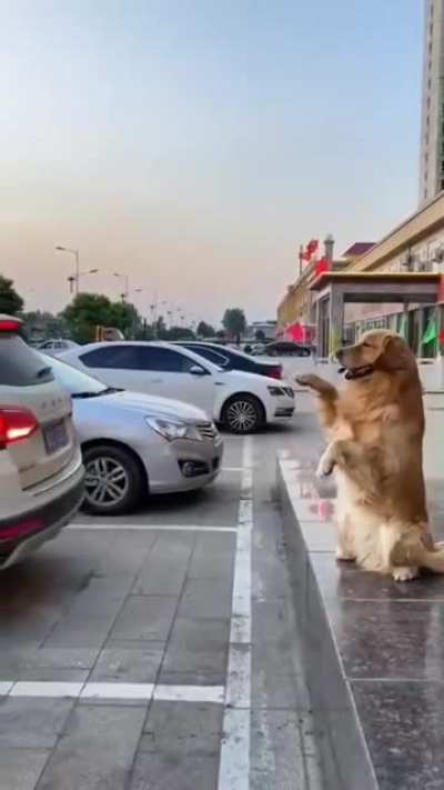 Smart boi