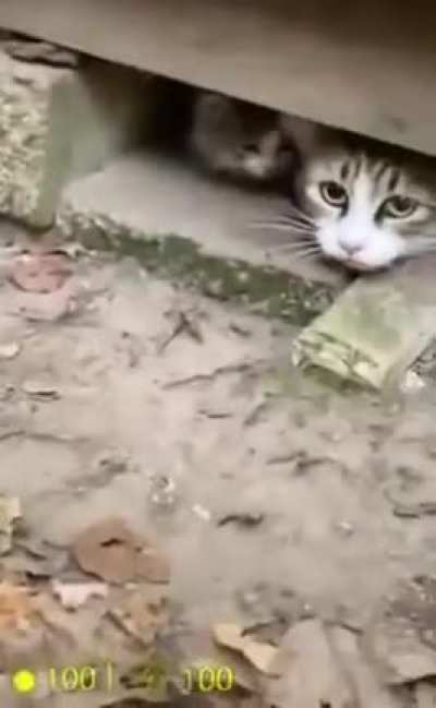 the face of real fear
