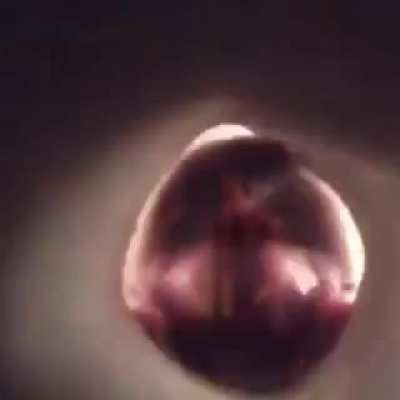 cursed_perspective