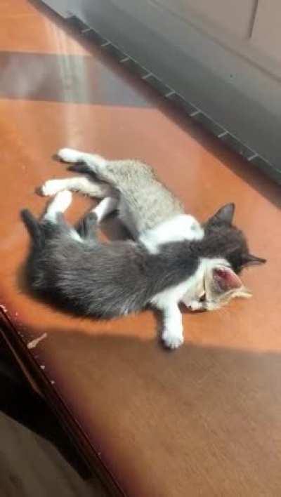 Two brothers