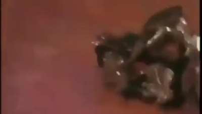 Crazy frog