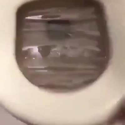 perfectlycutscreams - Video #3747