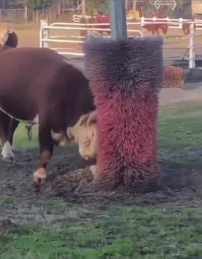 I wonder what he tried to say before the scratch.