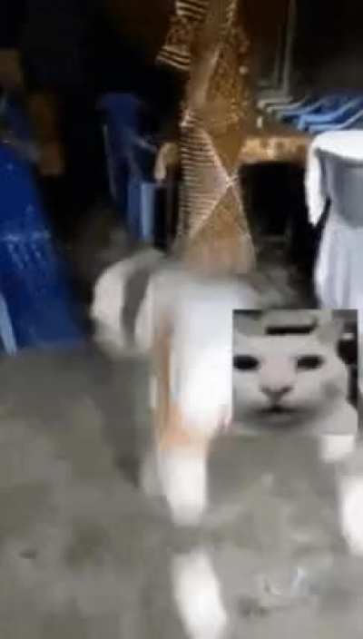 So fucking tired of hearing about r/place
