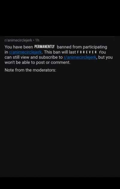 Funniest shit i've ever seen.