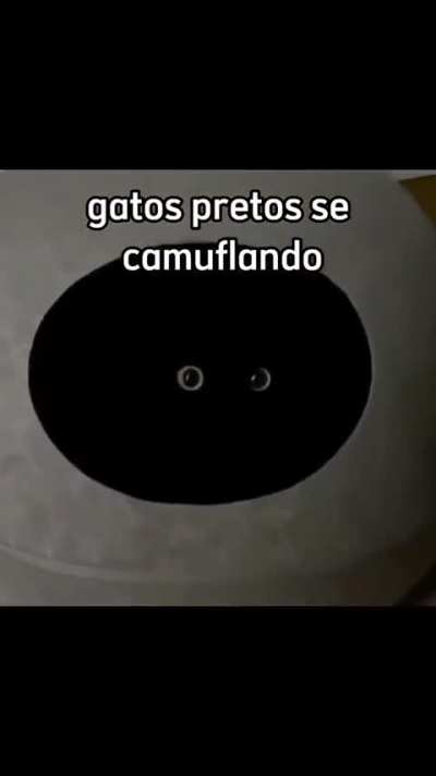 nunca vi algo tão fofo  