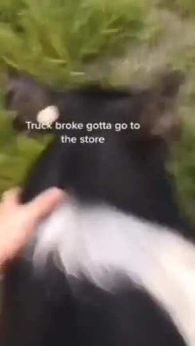 HOG RIDEAAAAA