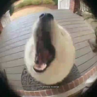 :]