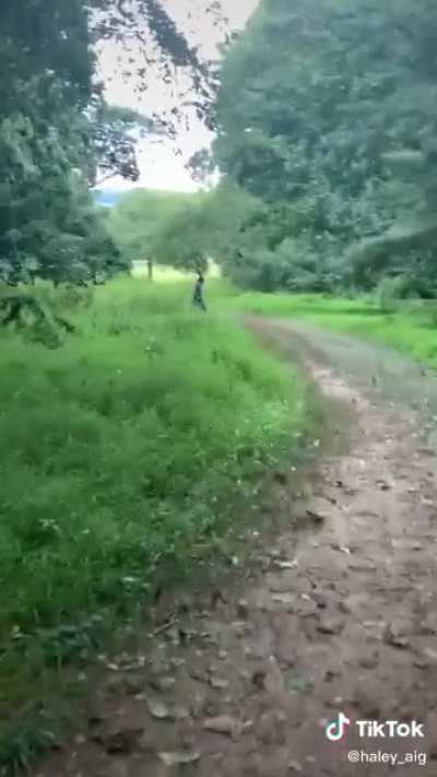 No Horror movie will ever be as scary as this video. 😰😂