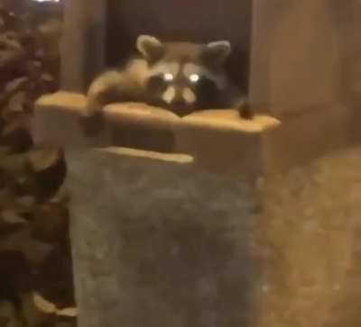 Hey, how’s it going?
