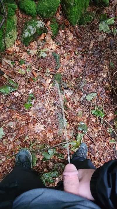 Finally caught a break in the rain during my hike, but not for ling