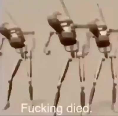 What do i put here