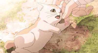 neko :>
