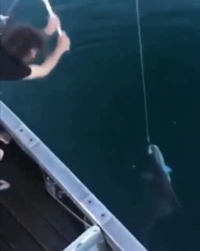 Fishing