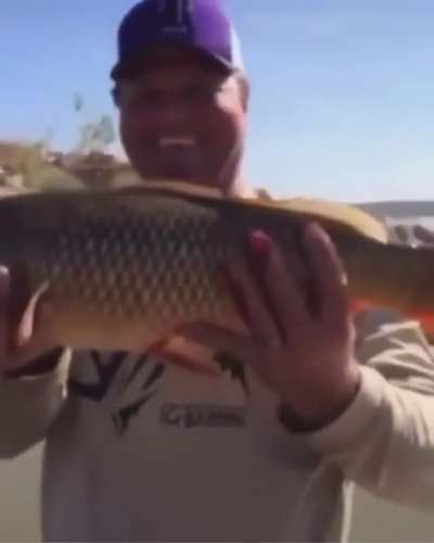 Let me just throw this fish back in the water...