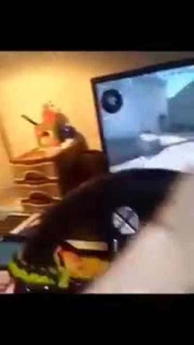 CEese no volant