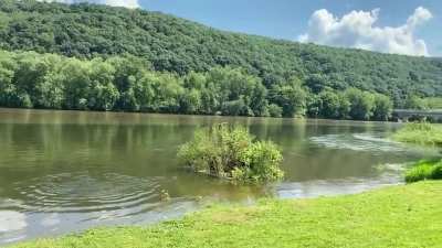 I won a stone skipping competition in Pennsylvania. Eight seconds on the surface of the Alleghany River.