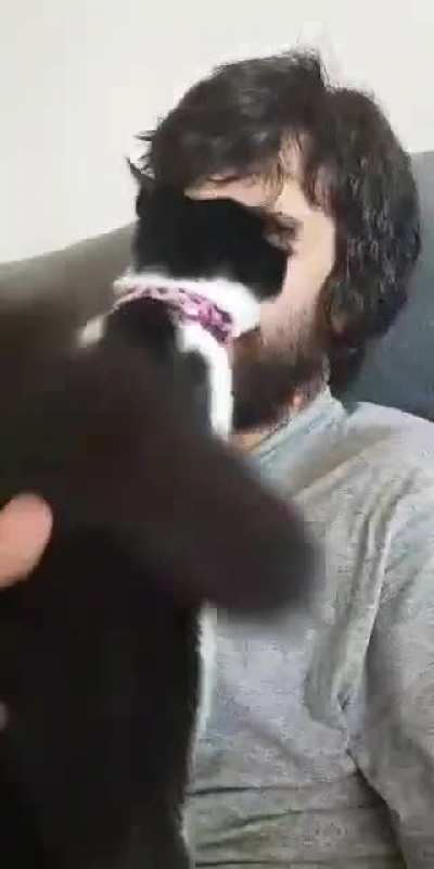 Snuggle into nose bite