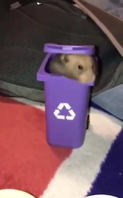 NOOOOO