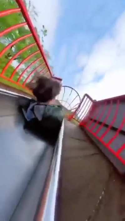 Looks fun?