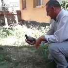 Cute bird