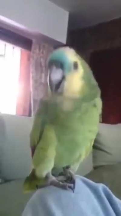 Eis que
