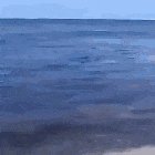 Shark tried to attack a dog and the dog's friends avoided the attack