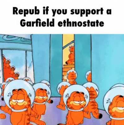 Rulefield