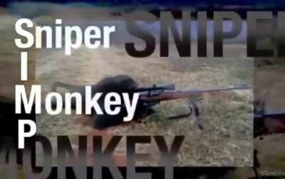 Sniper Monkey