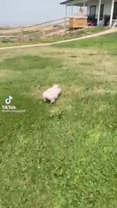 Excuse me sir
