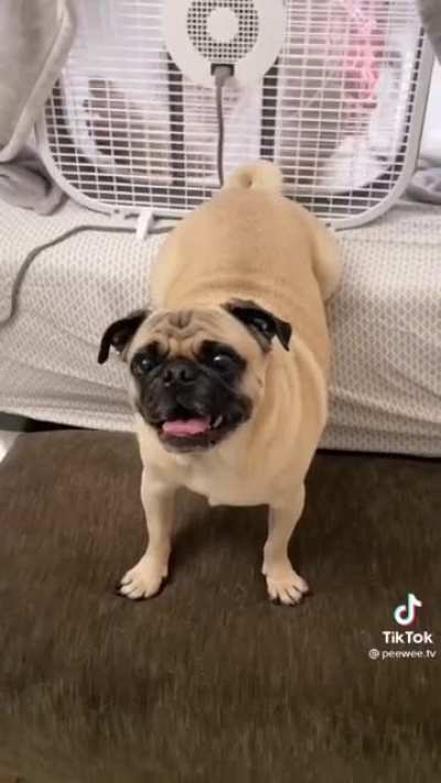 This is how people get famous on tiktok btw