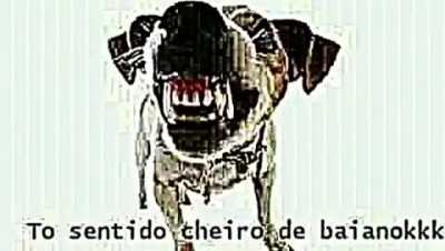 Morri