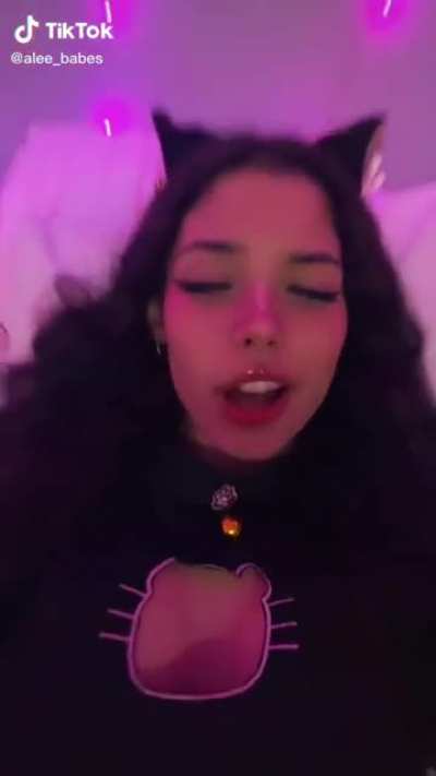 🐱