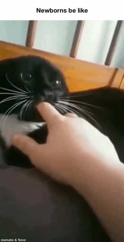 Title goes here