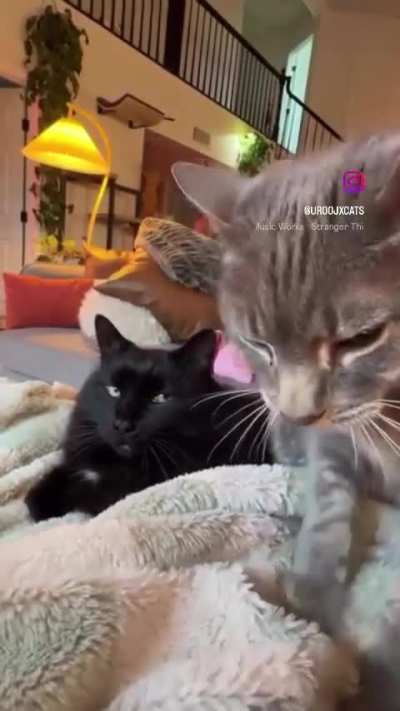 If he makes one more damn biscuit…