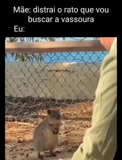 gordo