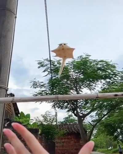 Полёт
