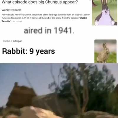 He is dead