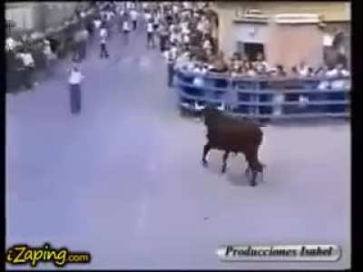 Укрот<wbr>итель