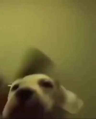 Hello my dudes *Lick our BALLS*