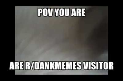 rdankmemes humens ruin our hebitat 🤬🤬🤬🤬🤬🤬🤬🤬🤬🤬🤬🤬🤬🤬🖕🏿🖕🏿🖕🏿🖕🏿😨👎👎😠😠🐵🐵 MONKE and GURIL is ANGERY 🤬🤬🤬🦍🦍 *throw bulder on r/dankmemes rartad*
