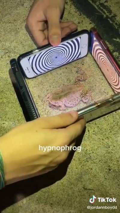Poke trippin balls