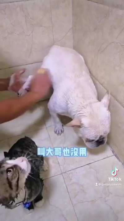 bath time.