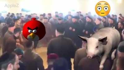 هقنث🤒<wbr>😱😱HAL<wbr>AL??? PUNJABI DANCE<wbr>???😳😳<wbr>144p 24fps AFGHANI DOWNLOAD 😎😎هيت<wbr>س يهي epic syria sex😂🪓