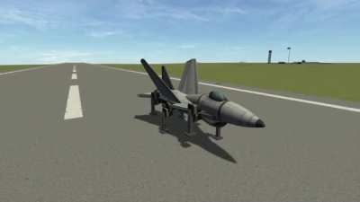 Don’t forget to walk your jet every day.