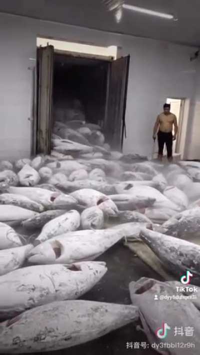 Fish market unloading truck