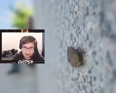 ITS A BUG