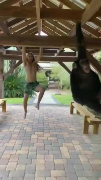 man vs chimp