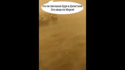 Призе<wbr>мливш<wbr>ийся зонд «Тянь<wbr>вэнь-<wbr>1» показал Марс своими «глаз<wbr>ами»