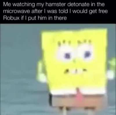52043